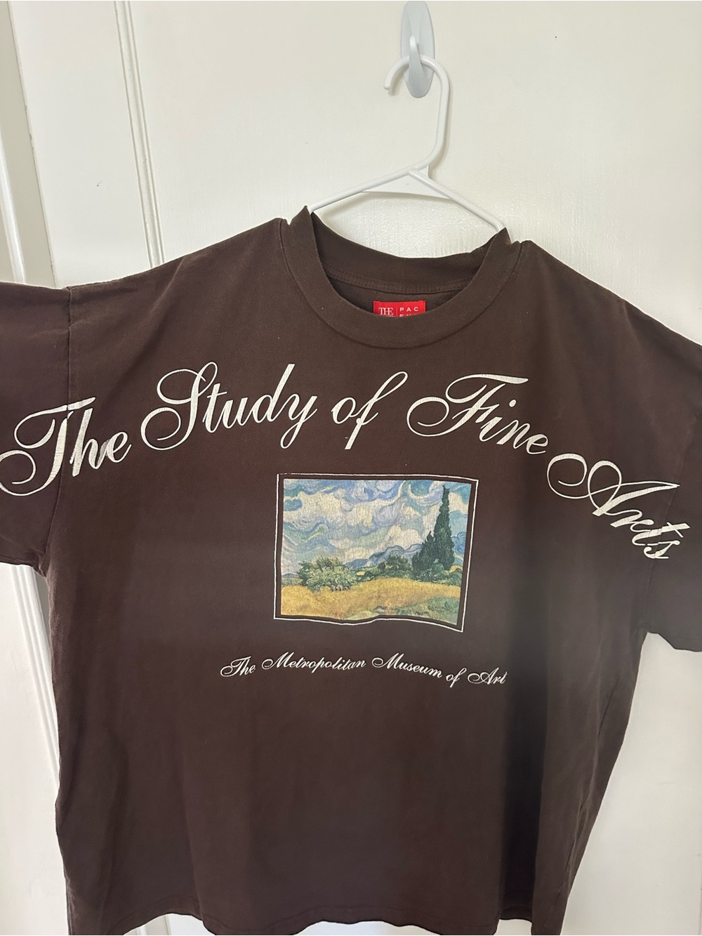 PacSun x The MET 'Study of Fine Arts' Brown Graphic Tee